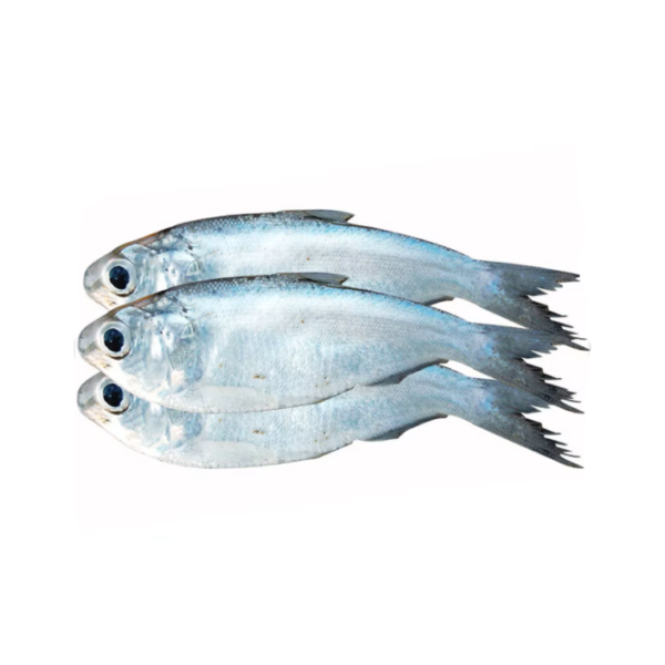 Chapila Fish Block 500g