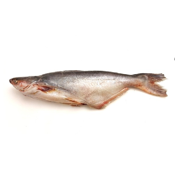 Pangasius Steaks 800g