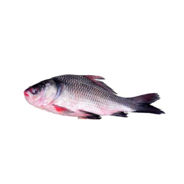 Katla Whole - 1kg