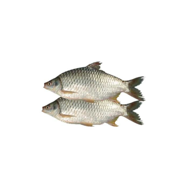 Sorputi Block 500g