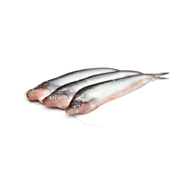 Pabda Fish Block 500g