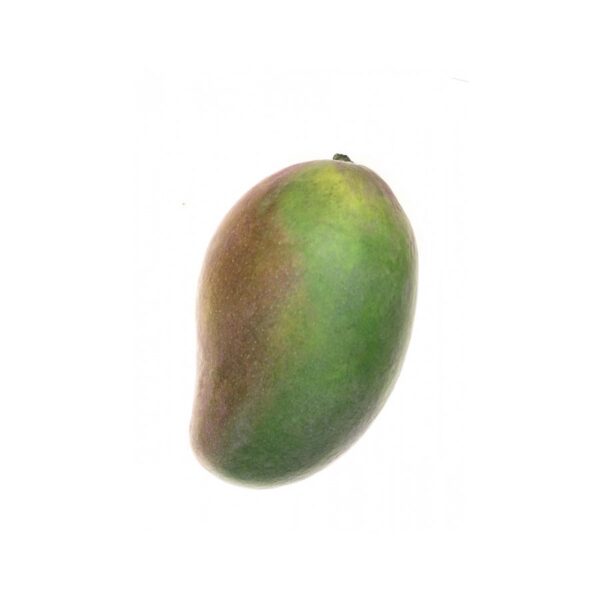 Fresh Green Mangoes 500g