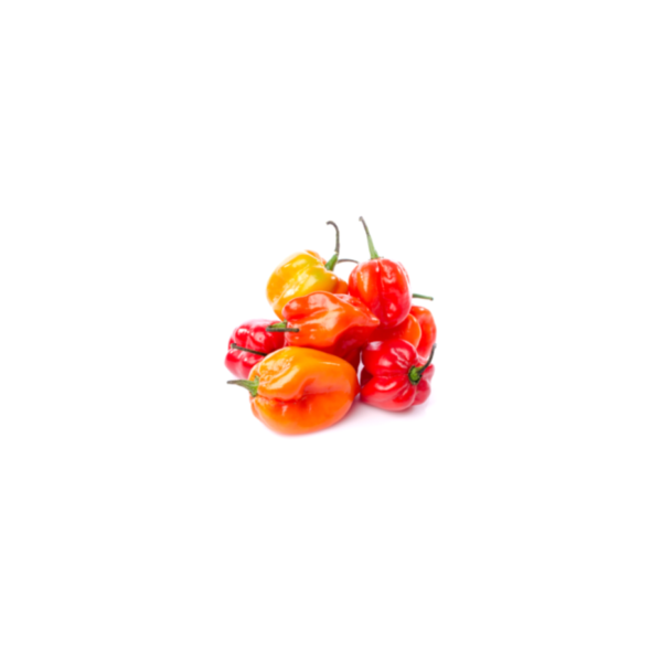 Fresh Habanero 200g