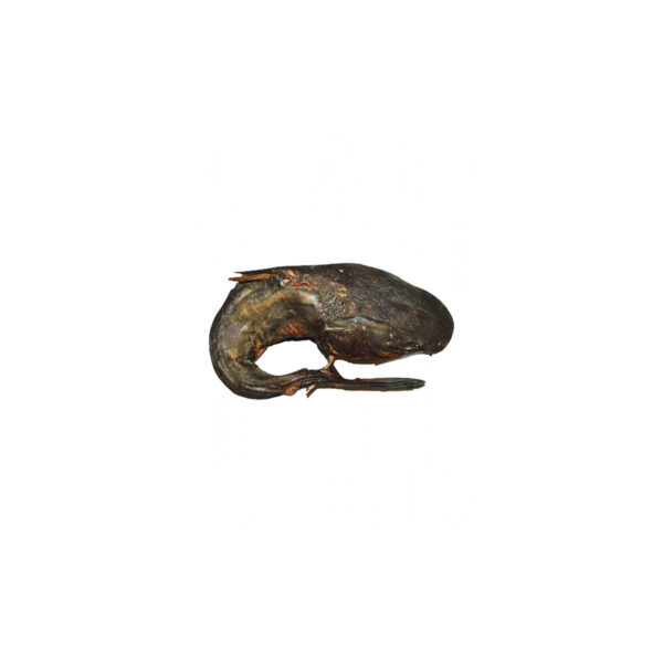 Whole Smoked Catfish /Kg