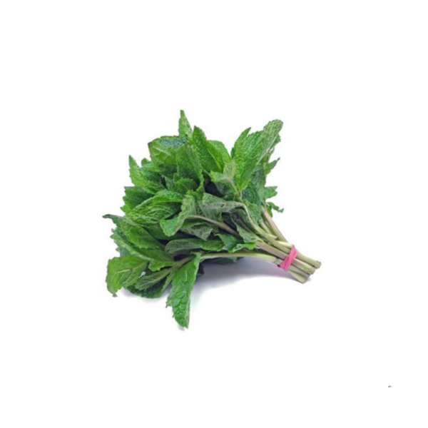 Fresh MINT /Kg