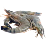 Block Fish